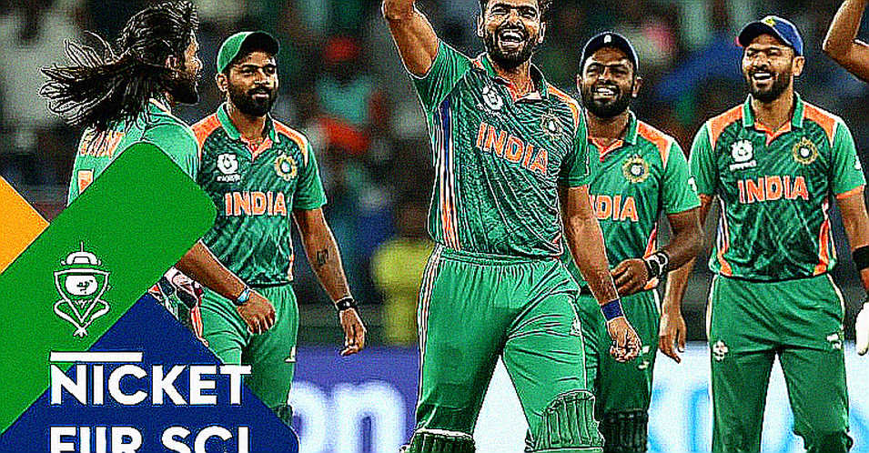 ক্রিকেটের অন-চেইন খাতা: ফ্যান টোকেন আর ডিজিটাল কালেক্টিবলের টাকা আসলে কোথায় যায়